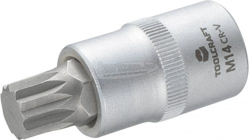 TOOLCRAFT Dugókulcs 12,5mm (1/2"), sokfogú bittel M14, hossz: 55mm 816171