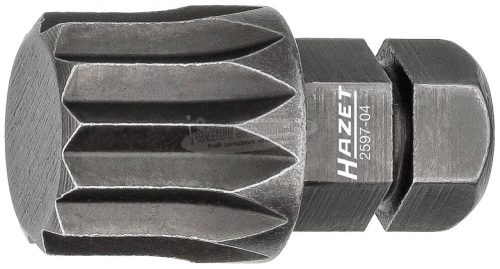 HAZET 2597-04 Négyfogú bit M12 C 8 1db 254667